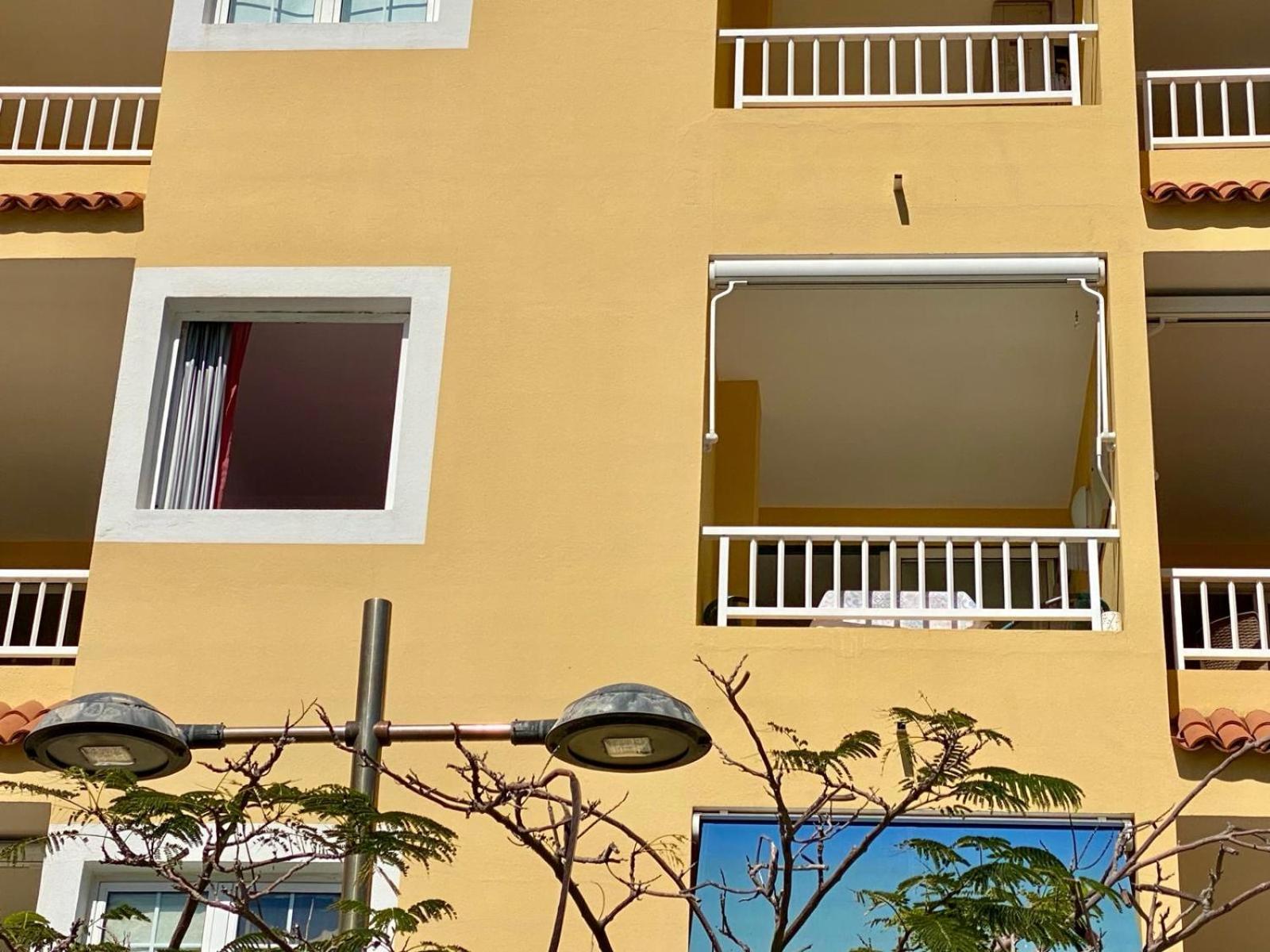 Casa Del Mar, Sunny Ocean View Appartement Right At The Beach! لوس يانوس دي أريداني المظهر الخارجي الصورة